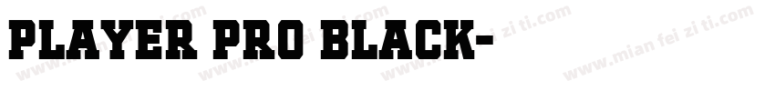Player Pro Black字体转换